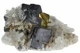 Galena, Chalcopyrite and Quartz Crystal Cluster - Bulgaria #62248-1